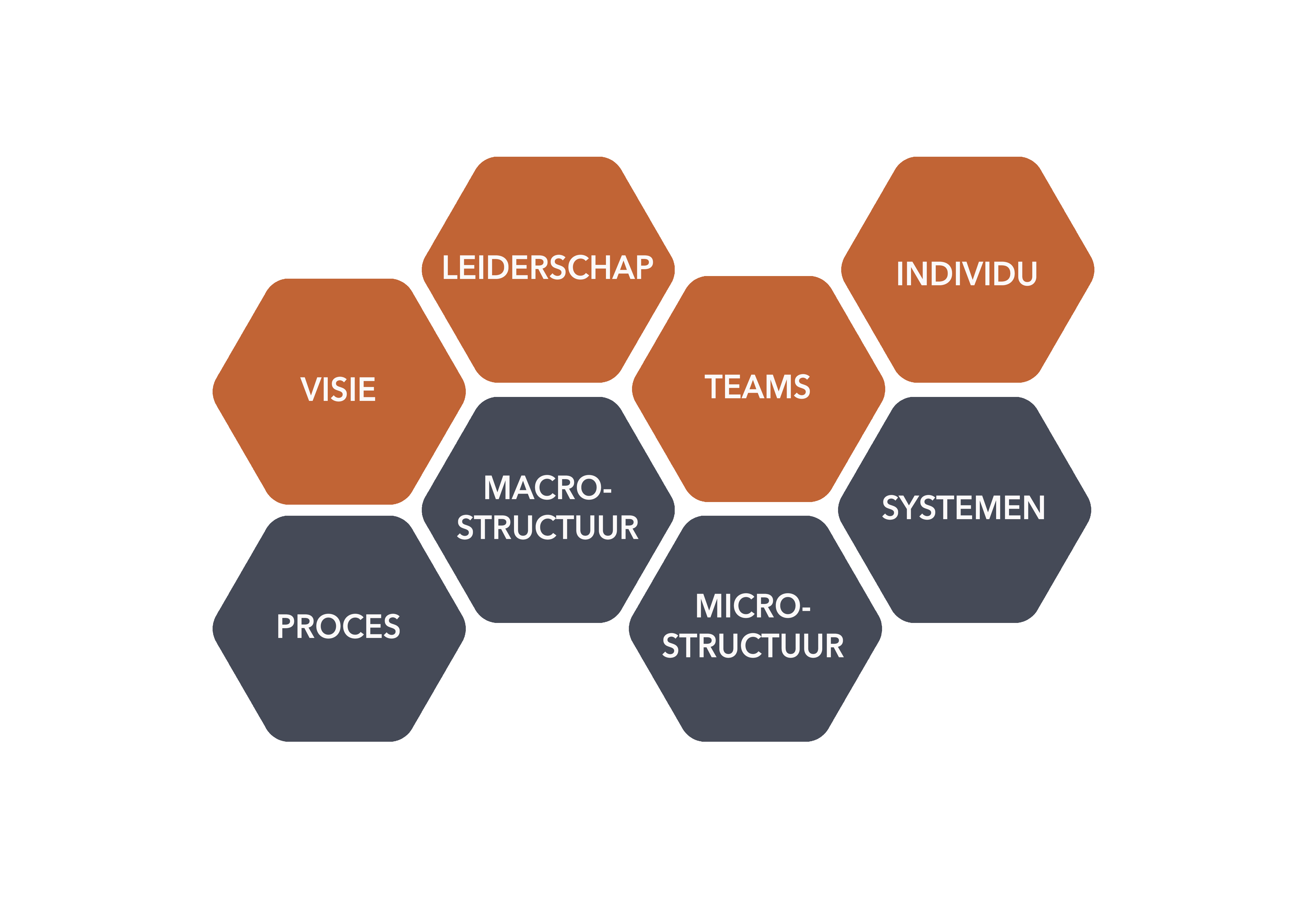 Organisatiecanvas_transparant