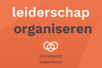 leiderschap organiseren